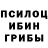 Псилоцибиновые грибы прущие грибы 16:32 BRENT