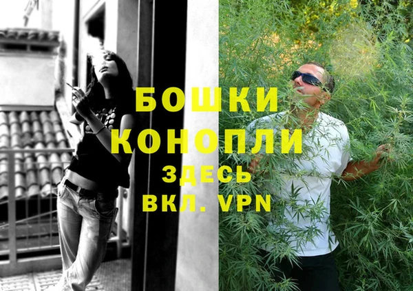 стафф Белокуриха