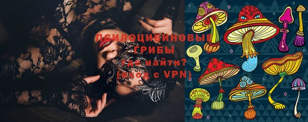 гашик Сатка