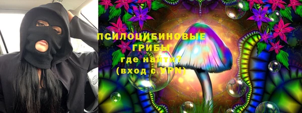 стафф Белокуриха