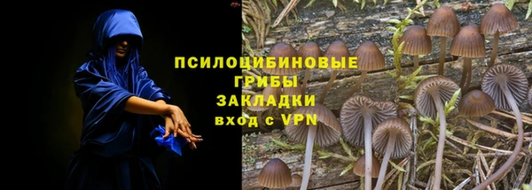 стафф Белокуриха