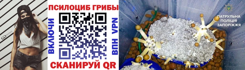 Галлюциногенные грибы Magic Shrooms  где найти наркотики  Топки 